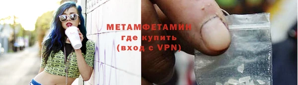 ПСИЛОЦИБИНОВЫЕ ГРИБЫ Козловка