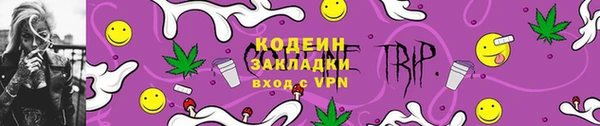 дмт Костерёво