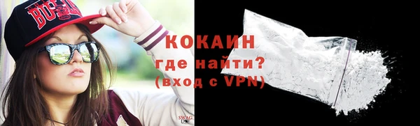 ПСИЛОЦИБИНОВЫЕ ГРИБЫ Козловка