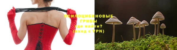 дмт Костерёво