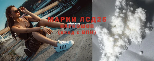 ПСИЛОЦИБИНОВЫЕ ГРИБЫ Козловка