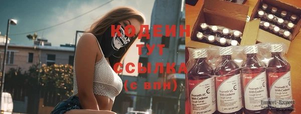 ПСИЛОЦИБИНОВЫЕ ГРИБЫ Козловка